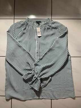 Ann Taylor Green and White Striped Long-Sleeve Blouse